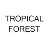 Tropical forest